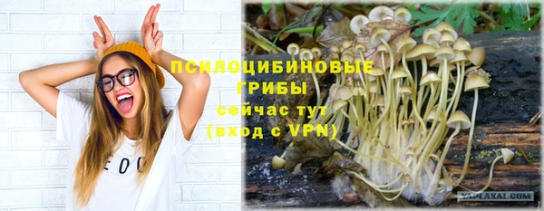 мет Абдулино