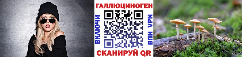 Галлюциногенные грибы Psilocybine cubensis  Власиха 